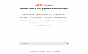 reddit-answers-interface